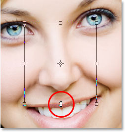 روش های کوچک کردن بینی در فتوشاپ